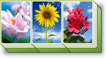 Flowers and Sky Tile Set