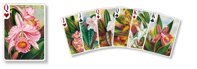 SolSuite 2010 v10.6 - new Antique Orchids card set